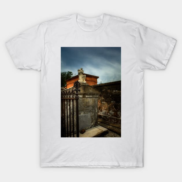 A Fence A Wall and A Headless Angel T-Shirt by MountainTravel